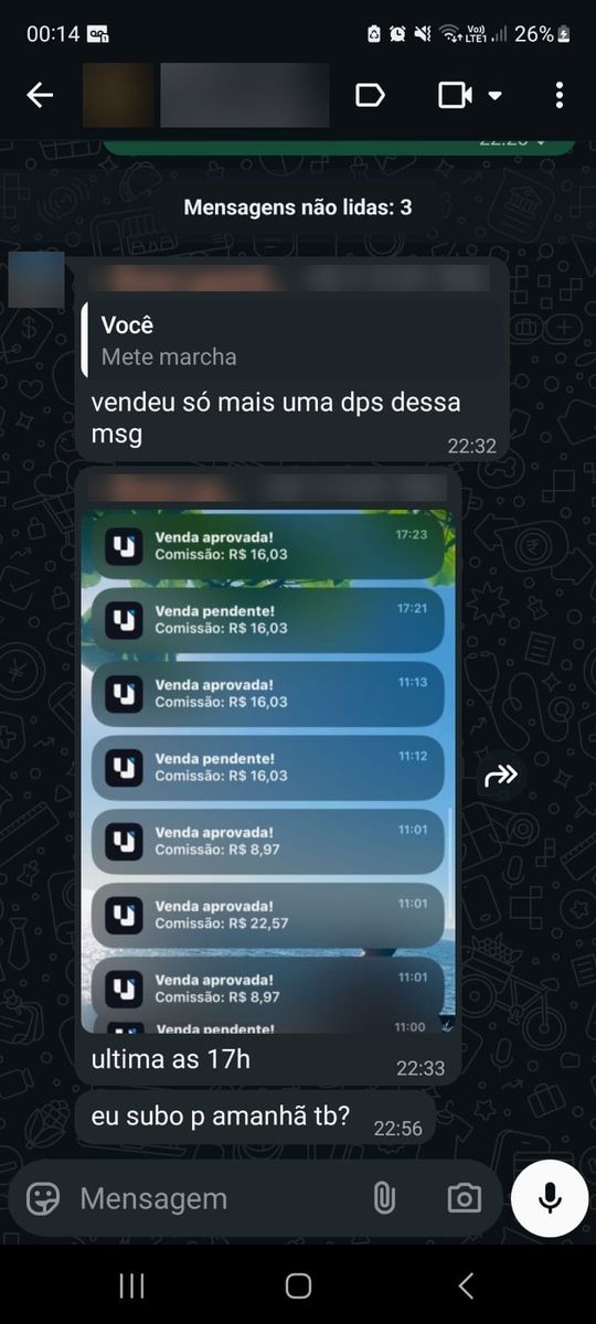 Print de conversa com aluno