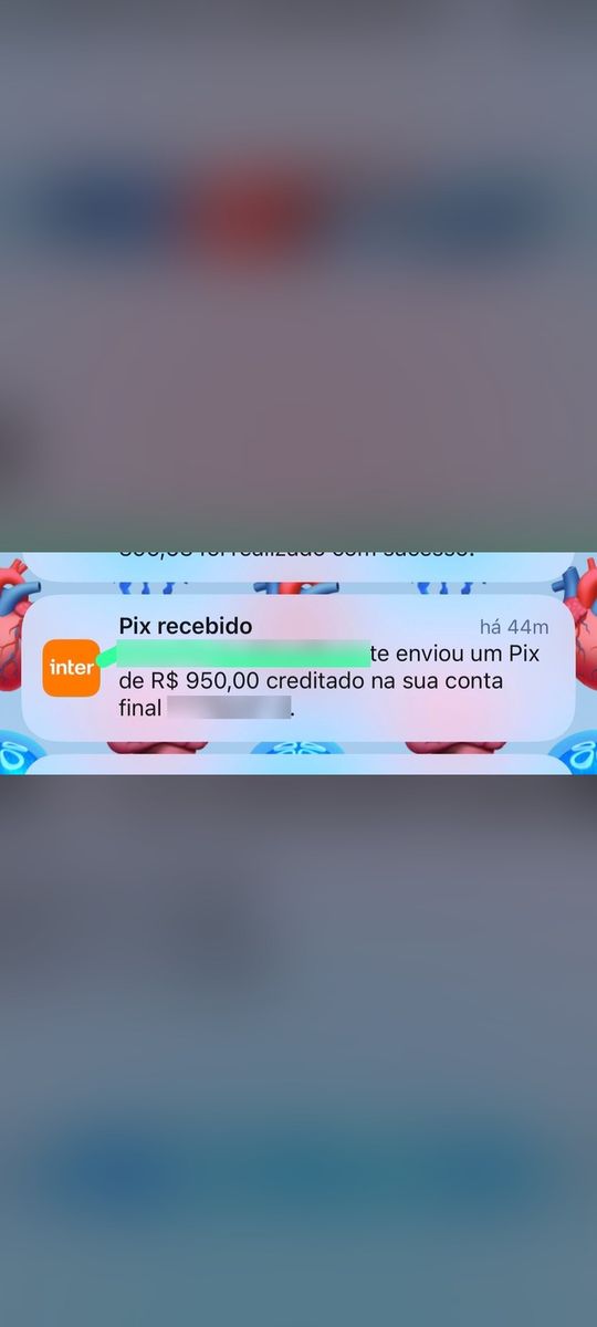 Print de conversa com aluno
