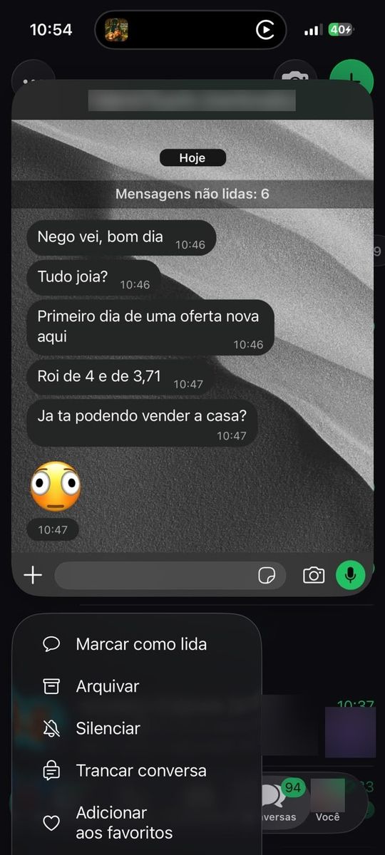 Print de conversa com aluno