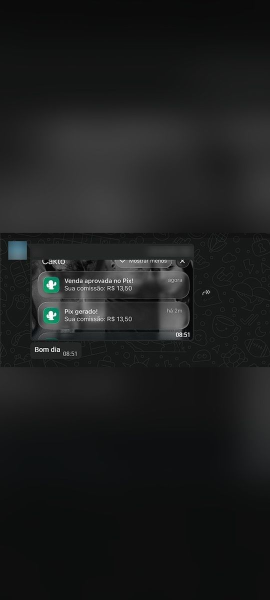 Print de conversa com aluno