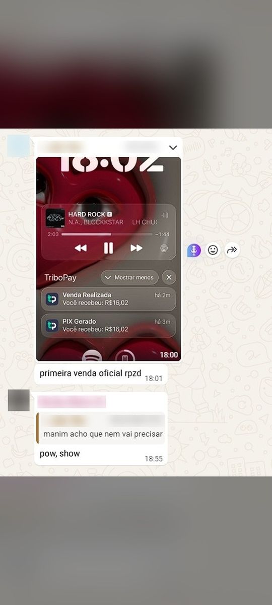 Print de conversa com aluno