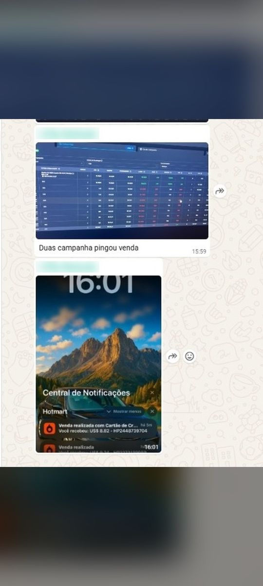 Print de conversa com aluno